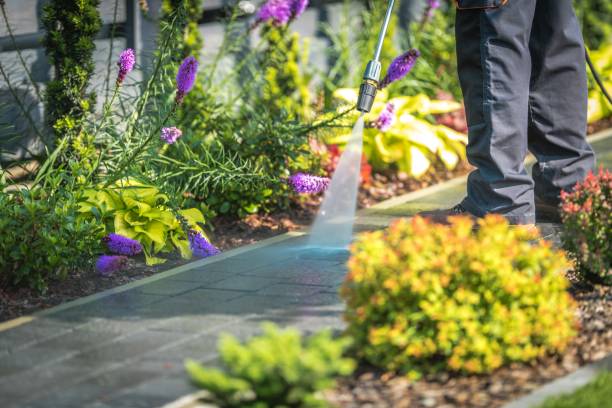 Best Driveway Cleaning and Restoration in Lake In The Hls, IL