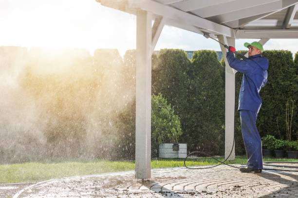 Best Soft Washing for Delicate Surfaces in Lake In The Hls, IL